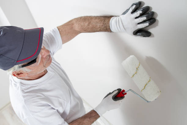 Best Industrial Mold Remediation  in Blue Earth, MN