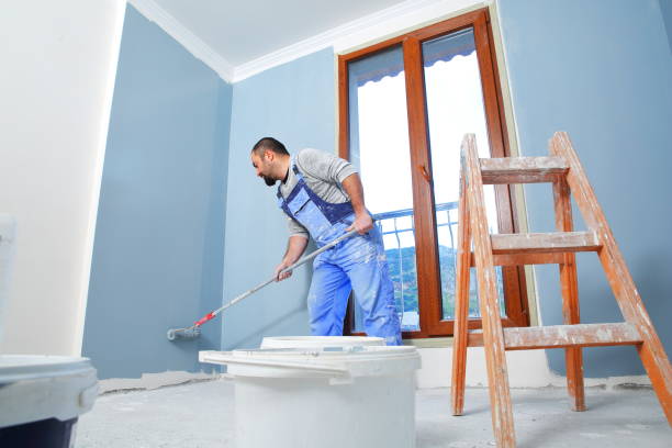 Best Mold-Related Health Consultation  in Blue Earth, MN