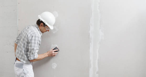  Blue Earth, MN Mold Removal Pros