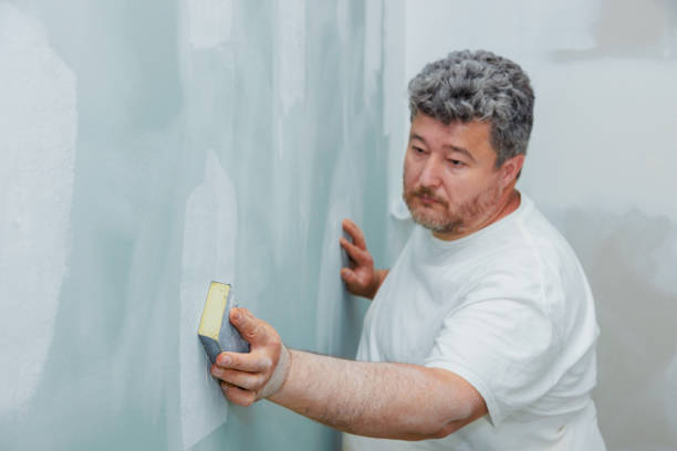 Best Air Quality Testing for Mold Spores  in Blue Earth, MN