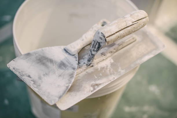 Best Real Estate Mold Inspection  in Blue Earth, MN