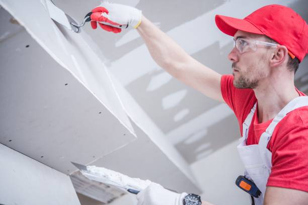 Best Mold Odor Removal Services  in Blue Earth, MN